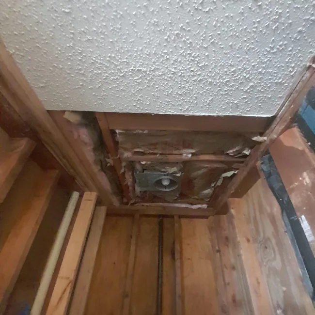 Macaw Construction LLC